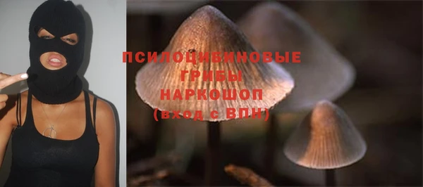 шишки Аркадак