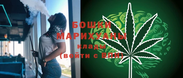 шишки Аркадак