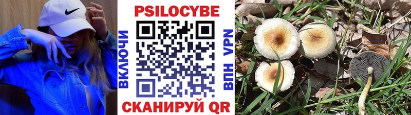 Псилоцибиновые грибы мицелий  даркнет сайт  Ленинск 